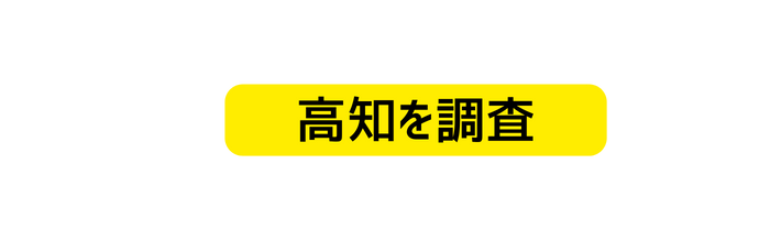 高知を調査